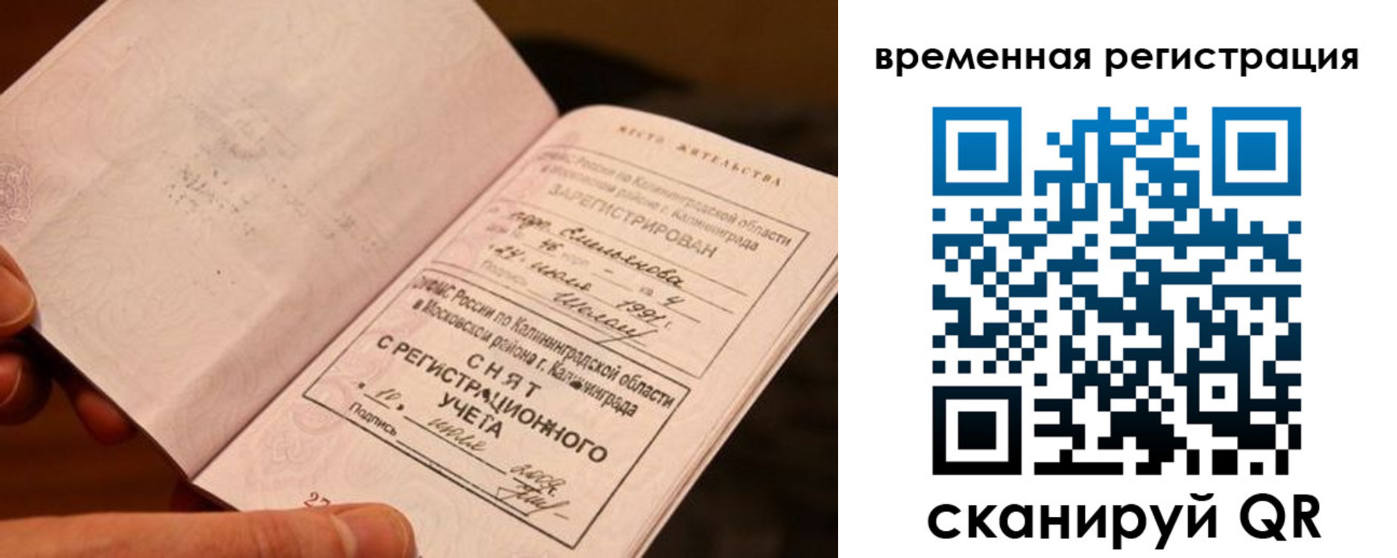 прописка регистрация в Мончегорске